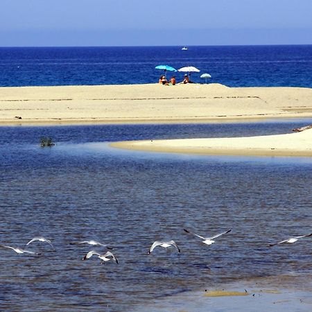 Residenza L 'Alivetu Aparthotel Cargese Luaran gambar