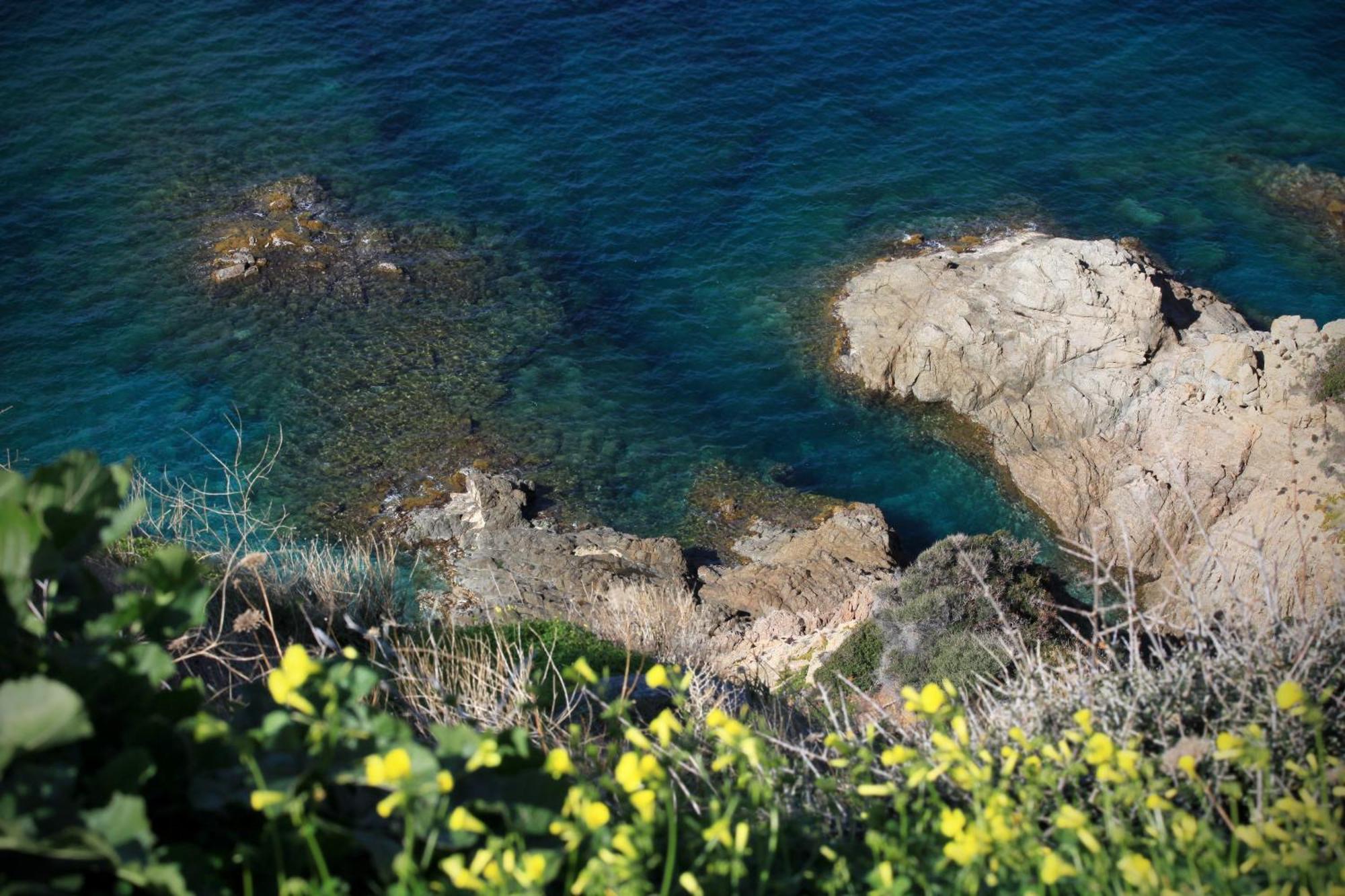 Residenza L 'Alivetu Aparthotel Cargese Luaran gambar