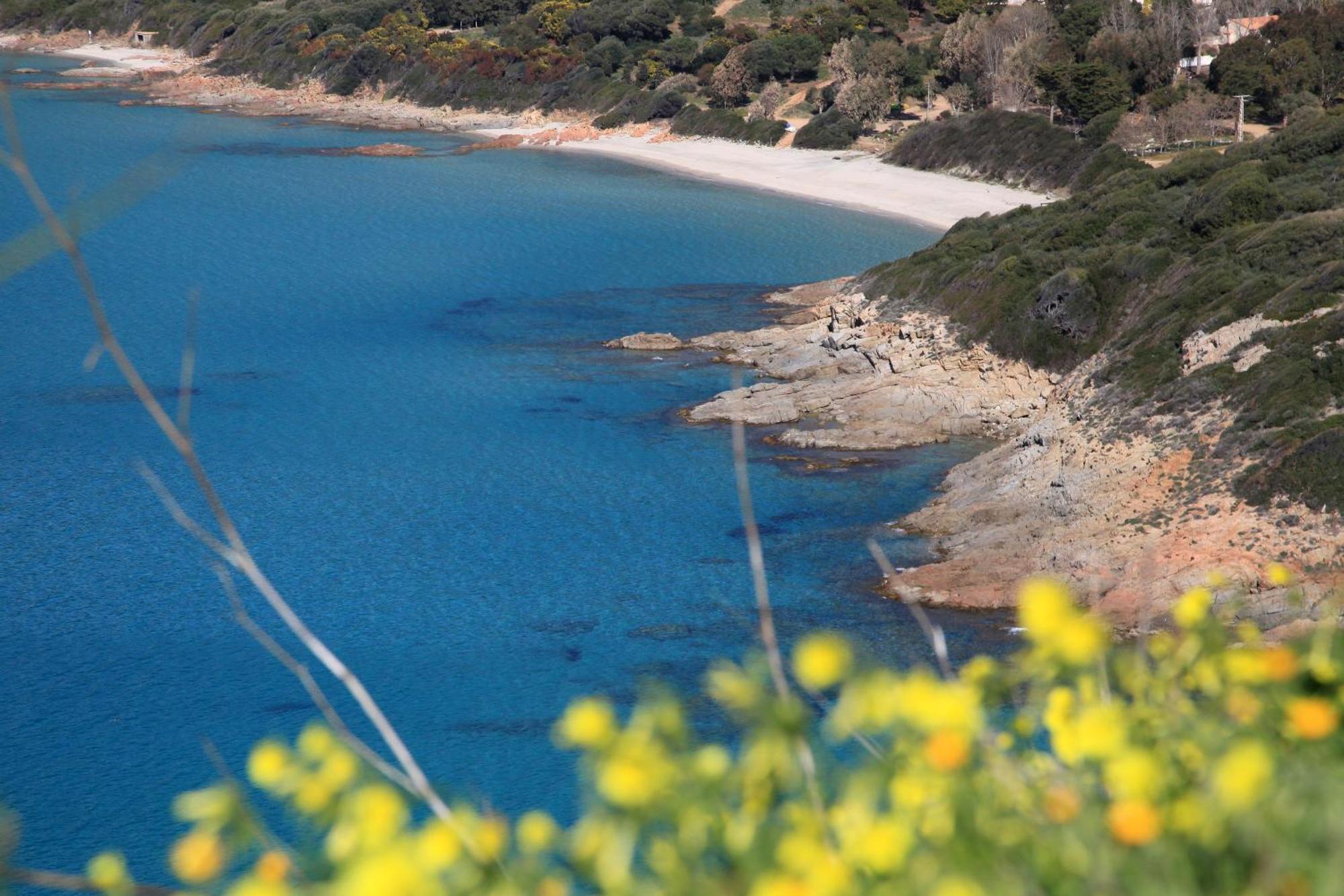 Residenza L 'Alivetu Aparthotel Cargese Luaran gambar